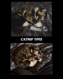 Coffin Catnip Small Toy