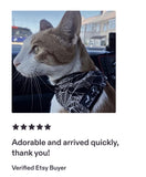 Pet Bandanas