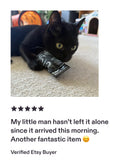 Coffin Catnip Toys