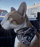 Pet Bandanas