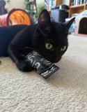 Coffin Catnip Toys