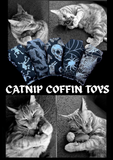 Coffin Catnip Toys