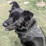Pet Bandanas